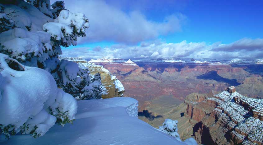 gc_winter