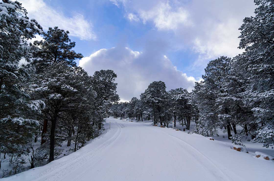 tusayan-slides-tree-lined.jpg
