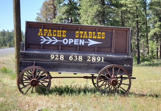 Grand Canyon Mule & Horseback Tours